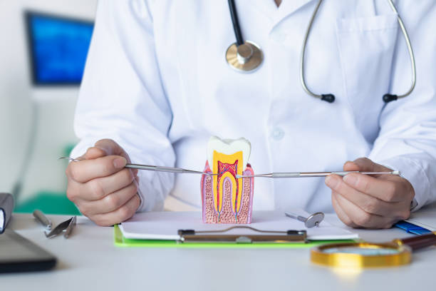 Best Urgent Care for Lost Fillings or Crowns in Red Springs, NC